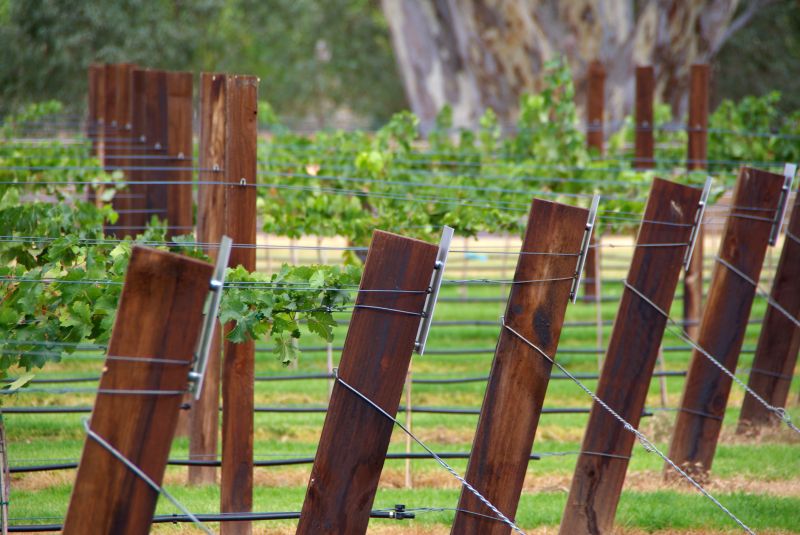 Conroe, TX