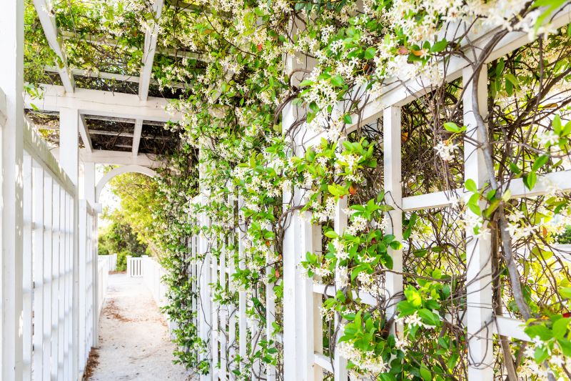 Vineyard Trellis Installation in Kansas City, KS