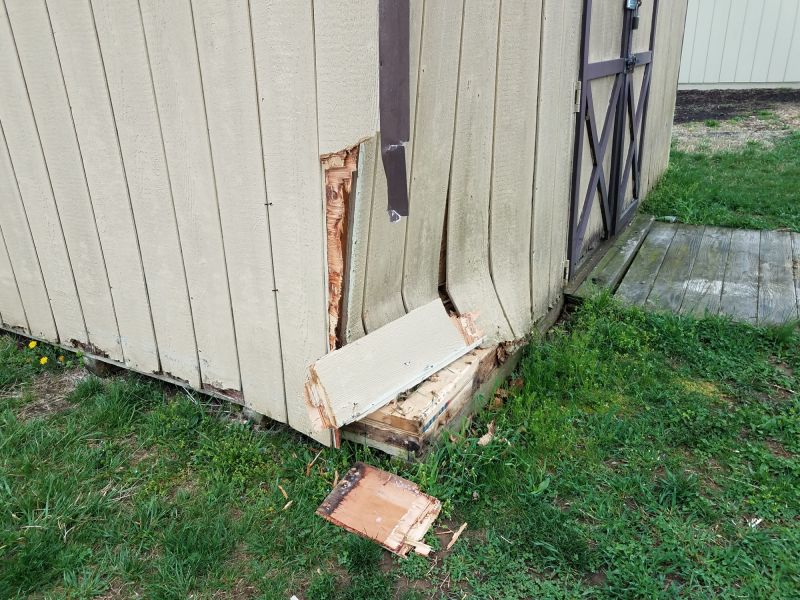 Wood Shed Repair in Olathe, KS