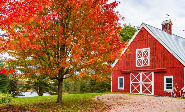 Grow your Amish Shed Pros business